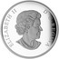 Canada 20 Dollars Star Trek USS Enterprise 2016 Proof KM# 2147 ELIZABETH II D ∙ G ∙ REGINA coin obverse