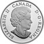 Canada 20 Dollars The Bold Black Bear 2017 Proof ELIZABETH II CANADA D ∙ G ∙ REGINA coin obverse