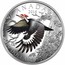 Canada 20 Dollars The Pileated Woodpecker 2016 Coloured Proof KM# 2197 CANADA 2016 20 DOLLARS coin reverse