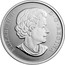 Canada 25 Cents Cinnamon Teal Duck 2015 Proof KM# 1947 ELIZABETH II D ∙ G ∙ REGINA coin obverse