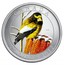 Canada 25 Cents Evening Grosbeak 2012 Specimen KM# 1326 CANADA AN 25 CENTS 2012 coin reverse