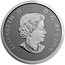 Canada 25 Cents Love my Dog 2017 Specimen ELIZABETH II D∙G∙REGINA coin obverse
