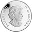 Canada 25 Dollars Matriarch Moon Mask 2014 Proof KM# 1508 ELIZABETH II D G REGINA coin obverse
