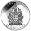 Canada 25 Dollars The Coat of Arms of Canada 2016 Proof CANADA 2016 25 DOLLARS coin reverse