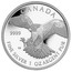 Canada 5 Dollars (Peregrine Falcon) KM# 1720 CANADA 9999 FINE SILVER 1 OZ ARGENT PUR coin reverse