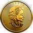 Canada 50 Dollars Gold Maple Leaf - 40th Anniversary 2019 ELIZABETH II 50 DOLLARS 1979-2019 coin obverse