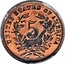 USA 5c. (Nickel (Pattern)) UNITED STATES OF AMERICA 5 coin reverse