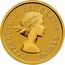 Canada 10 Dollars Maple Leaves with Queen Elizabeth II Effigy 2014 Proof KM# 1791 ELIZABETH II DEI GRATIA REGINA coin obverse