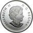 Canada 10 Dollars The Polar Bear 2013 Proof KM# 1402 ELIZABETH II D ∙ G ∙ REGINA coin obverse