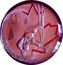 Canada 25 Cents Vancouver 2010 - Free-style skiing red enamel 2010 KM# 959a 25 CENTS VANCOUVER 2010 coin reverse