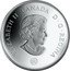 Canada 30 Dollars Niagara Falls 2007 Proof KM# 739 ELIZABETH II CANADA D ∙ G ∙ REGINA coin obverse