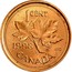 Canada 1 Cent Elizabeth II 1998 In Specimen sets only KM# 289a 1 CENT CANADA K.G. 1999 coin reverse