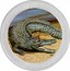 Australia 1 Dollar Australian Saltwater Crocodile (Colorized) 2014 P AUSTRALIAN SALTWATER CROCODILE 2014 1OZ 999 SILVER P coin reverse