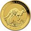 Australia 100 Dollars Kangaroo. High Relief 2017 P BU ELIZABETH II AUSTRALIA 100 DOLLARS IRB coin obverse