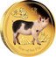 Australia 100 Dollars Year of the Pig Coloured 2019 P Proof YEAR OF THE PIG coin reverse