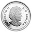 Canada 5 Dollars Bison - Tradition of Hunting 2013 Proof KM# 1534 ELIZABETH II D ∙ G ∙ REGINA coin obverse