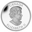 Canada 5 Dollars Devil's Brigade 2013 Proof KM# 1498 CANADA ELIZABETH II coin obverse