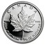 Canada 5 Dollars Elizabeth II 2nd Portrait 1989 Proof KM# 164 CANADA 9995 9995 FINE PLATINUM 1/10 OZ PLATINE PUR coin reverse