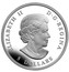 Canada 5 Dollars Maple Leaf 25th Anniversary. High Relief Piedfort 2013 Proof KM# 1525 ELIZABETH II D G REGINA 5 DOLLARS coin obverse