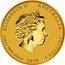 Australia 5 Dollars Year of The Pig - Coloured 2019 ELIZABETH II AUSTRALIA 1/20 OZ 9999 GOLD 2019 5 DOLLARS IRB coin obverse