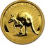 Australia 50 Dollars Kangaroo 2011 P Proof AUSTRALIAN KANGAROO 2011 1/2 OZ 9999 GOLD coin reverse
