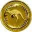 Australia 5000 Dollars Kangaroo. Red Diamond 2016 P AUSTRALIAN KANGAROO P 2016 1 KILO 9999 GOLD coin reverse