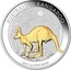 Australia 1 Dollar Kangaroo Gilt 2019 AUSTRALIAN KANGAROO 2019 1 OZ .9999 SILVER coin reverse