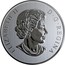 Canada 10 Dollars Maple Leaves 2019 ELIZABETH II D • G • REGINA coin obverse