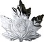 Canada 10 Dollars Wings of Hope 2019 ELIZABETH II CANADA D • G • REGINA coin obverse