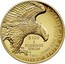 USA $100 American Liberty 2019 W $100 E PLURIBUS UNUM 1 OZ. .9999 FINE GOLD UNITED STATES OF AMERICA coin reverse