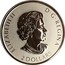 Canada 2 Dollars Wild Horse 2019 Reverse Proof ELIZABETH II D • C • REGINA 2 DOLLARS coin obverse