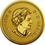 Canada 25 Cents 40th Anniversary of the Gold Maple Leaf 2019 ELIZABETH II D ∙ G ∙ REGINA coin obverse