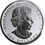 Canada 300 Dollars Maple Leaf Forever 2019 ELIZABETH II D • G • REGINA 300 DOLLARS coin obverse