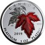 Canada 300 Dollars Maple Leaf Forever 2019 CANADA CG 9995 2019 PLATINUM 1 OZ PLATINE coin reverse