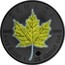 Canada 5 Dollars Four Seasons 2017 BU CANADA 9999 9999 FINE SILVER 1 OZ ARGENT PUR coin reverse