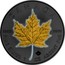 Canada 5 Dollars Four Seasons - Maple Leaf sprinkled with Gold powder 2017 BU CANADA 9999 9999 FINE SILVER 1 OZ ARGENT PUR coin reverse