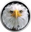 Canada 5 Dollars Wildlife - Bald Eagle 2019 CANADA FINE SILVER 1 OZ ARGENT PUR coin reverse
