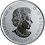 Canada 50 Cents Ursus americanus kermodei 2019 BU 50 CENTS ELIZABETH II D G REGINA SB coin obverse
