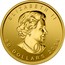 Canada 50 Dollars Five Blessings 2014 KM# 1729 ELIZABETH II 50 DOLLARS 2014 coin obverse
