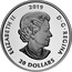 Canada 20 Dollars Lest We Forget 2019 ELIZABETH II 2019 D • G • REGINA 20 DOLLARS coin obverse