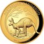 Australia 200 Dollars Kangaroo Gold Bullion 2019 AUSTRALIAN KANGAROO P 2019 2OZ 9999 GOLD coin reverse