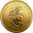 Canada 200 Dollars (Moose) ELIZABETH II 2019 D ∙ G ∙ REGINA 200 DOLLARS coin obverse