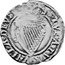Ireland 6 Pence James I (1603-1604) KM# 11.1 TVEATVR... coin reverse