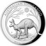 Australia 8 Dollars Australian Kangaroo 2019 AUSTRALIAN KANGAROO P AH 2019 5OZ 9999 SILVER coin reverse