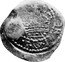 Ireland Shilling Kilkenny (1647) KM# 76 coin reverse