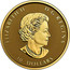 Canada 10 Dollars Wild Horse 2019 Reverse Proof ELIZABETH II D • G • REGINA SB 10 DOLLARS coin obverse