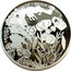 Greece 10 Euro Pindos National Park 2007 Proof KM# 221 ΕΘΝΙΚΟ ΠΑΡΚΟ ΠΙΝΔΟΥ - ΒΑΛΙΑ ΚΑΛΝΤΑ coin reverse
