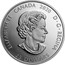 Canada 25 Dollars Toronto Raptors 25th Season 2020 ELIZABETH II CANADA 2020 D G REGINA 25 DOLLARS coin obverse