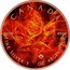 Canada 5 Dollars Burning Maple Leaf - Rose 2019 CANADA 9999 FINE SILVER 1 OZ ARGENT PUR 9999 coin reverse