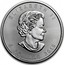 Canada 5 Dollars Storm Lightning Bolt Maple Leaf 2019 ELIZABETH II 5 DOLLARS 2019 coin obverse